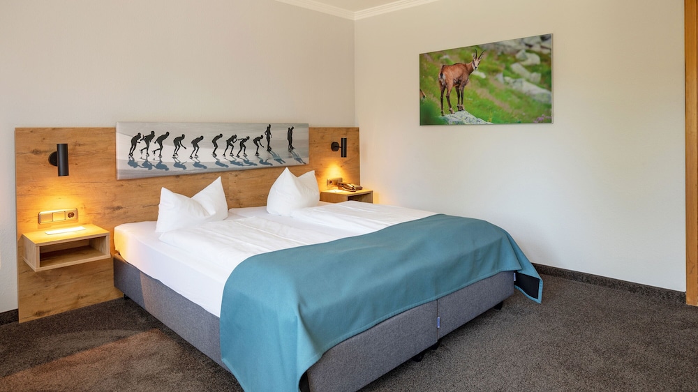 Superior Double Room photo 3