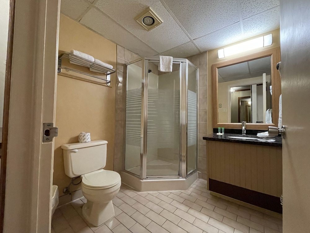 Suite, 1 King Bed, Non Smoking - Photo 5