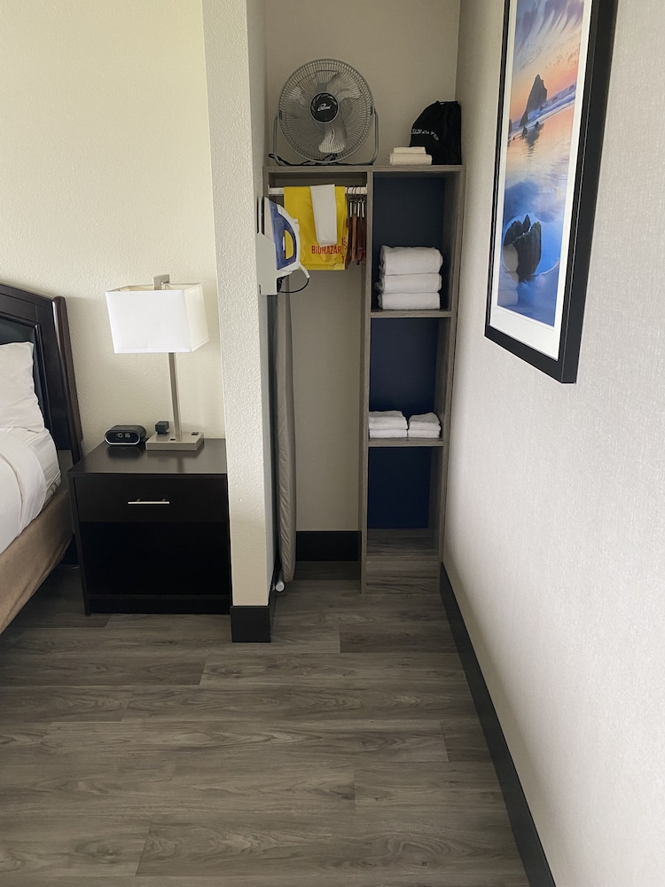 Standard Room, 1 King Bed (Pet Friendly) photo 3
