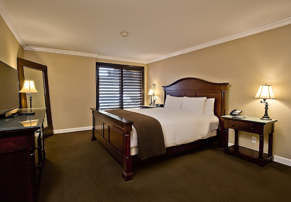 Suite, 1 King Bed, Pet-Friendly photo 3