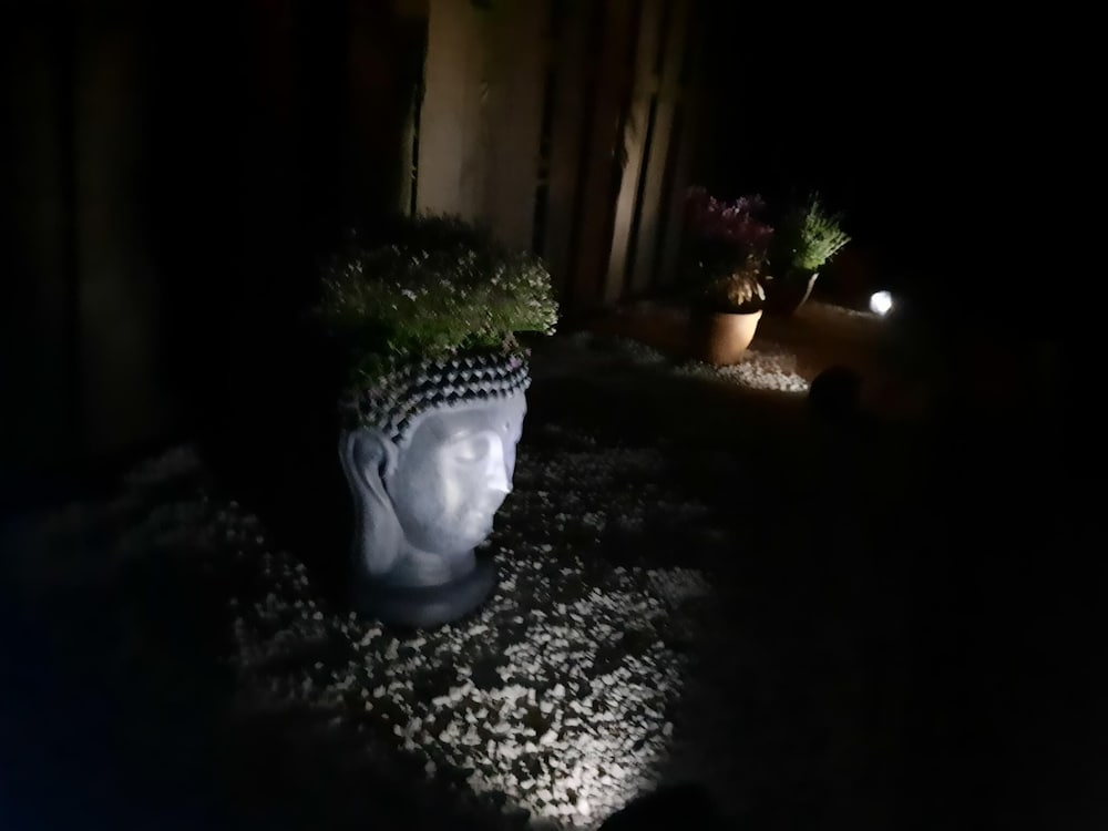 House photo 2