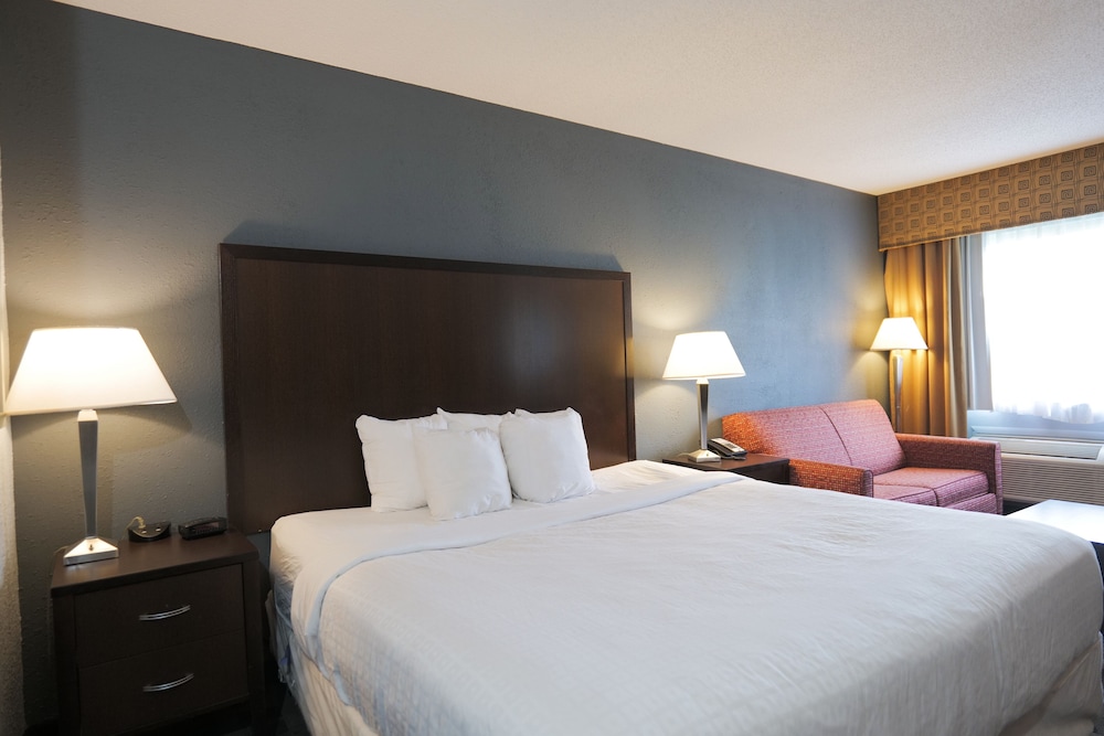 Suite, 1 King Bed, Non Smoking - Photo 13