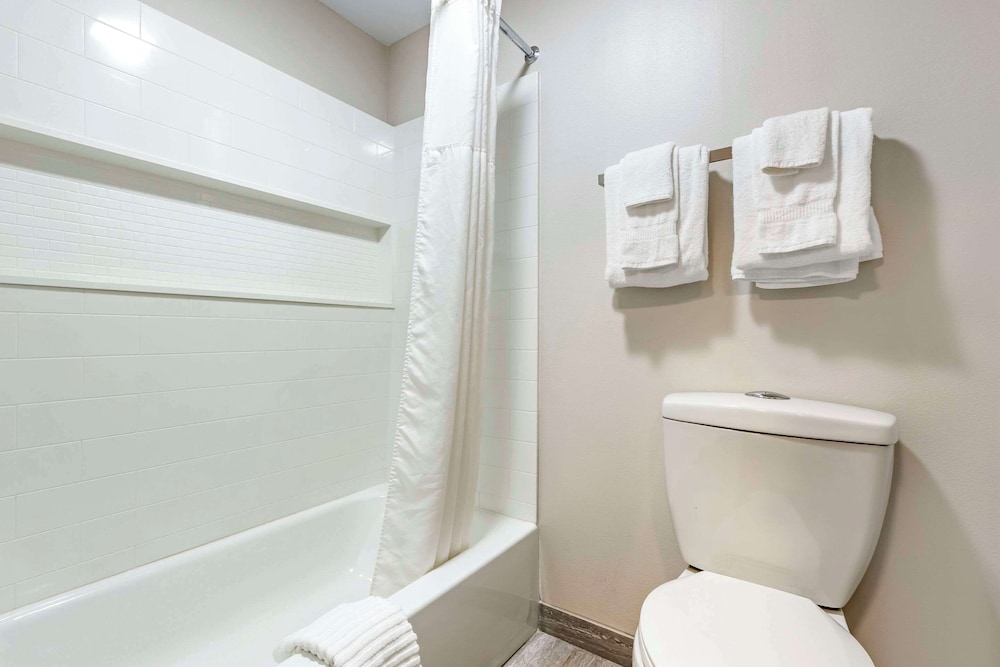 Suite, 1 King Bed with Sofa bed, Accessible, Non Smoking (Efficiency) - Photo 3