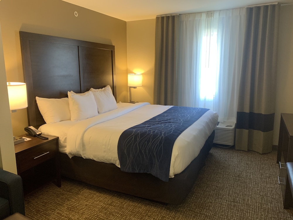 Suite, 1 King Bed with Sofa bed, Non Smoking photo 3