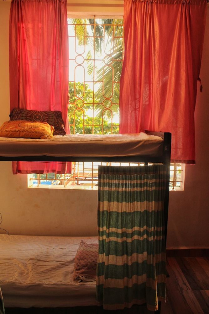 Standard Shared Dormitory photo 2