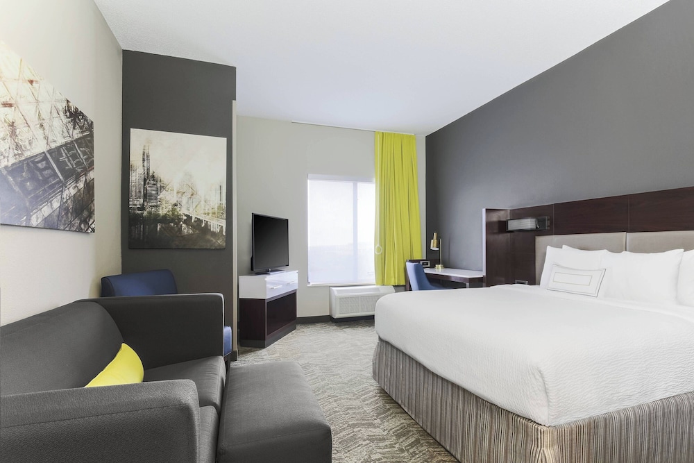 Studio Suite, 1 King Bed with Sofa bed (Mobility/Hearing Access, Roll-in Shwr) thumbnail 6