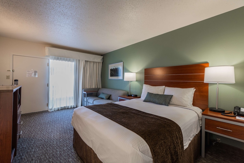 Standard Room, 1 Queen Bed, Refrigerator & Microwave (Pet Friendly)