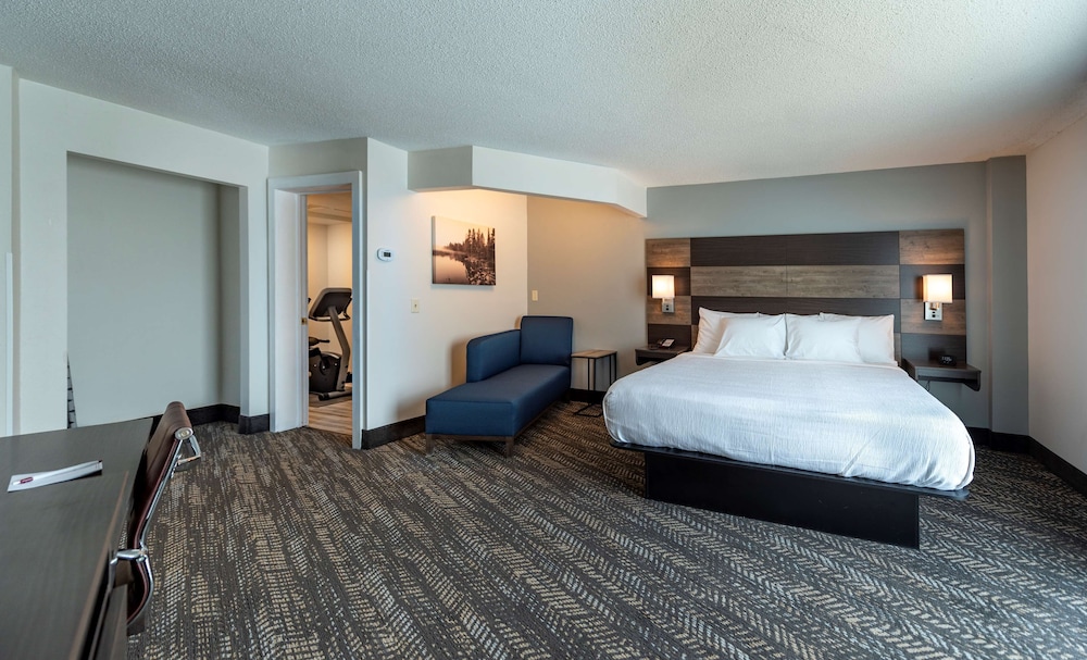 Suite, 1 King Bed, Non Smoking, Kitchenette (Walk-In Shower;With Sofabed) photo 2
