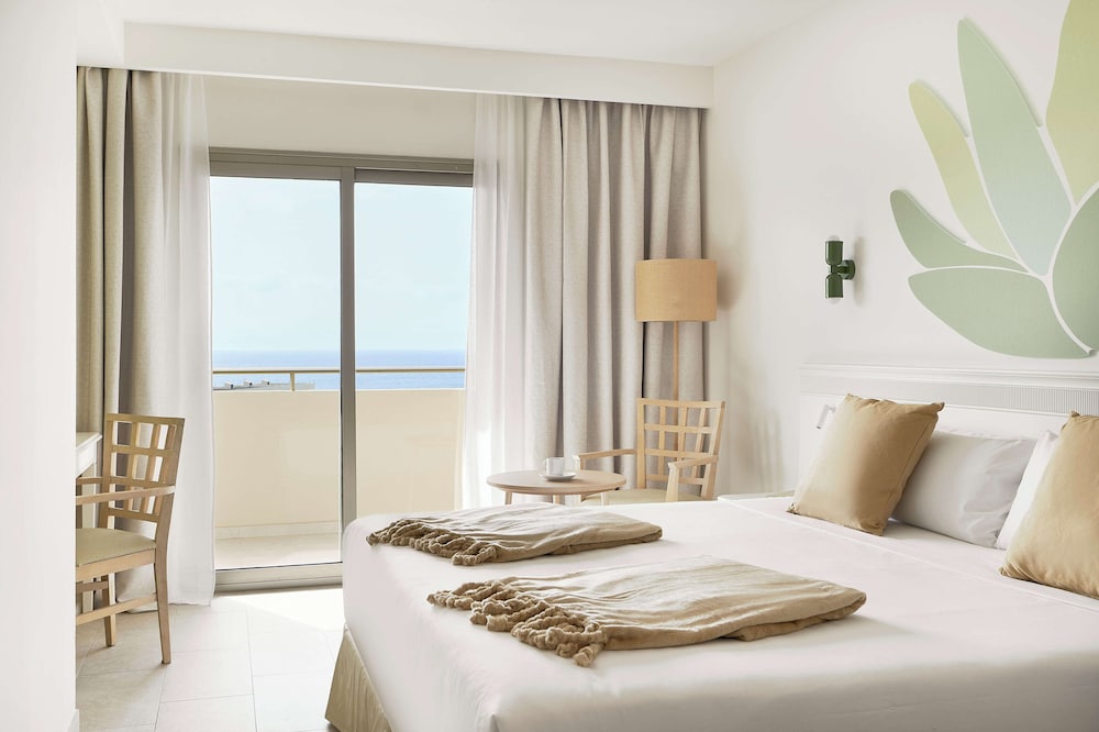 Junior Suite (Premium)