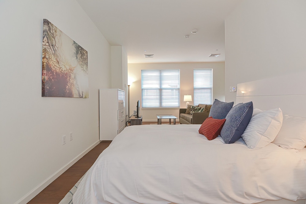 Luxury Studio, 1 Queen Bed with Sofa bed