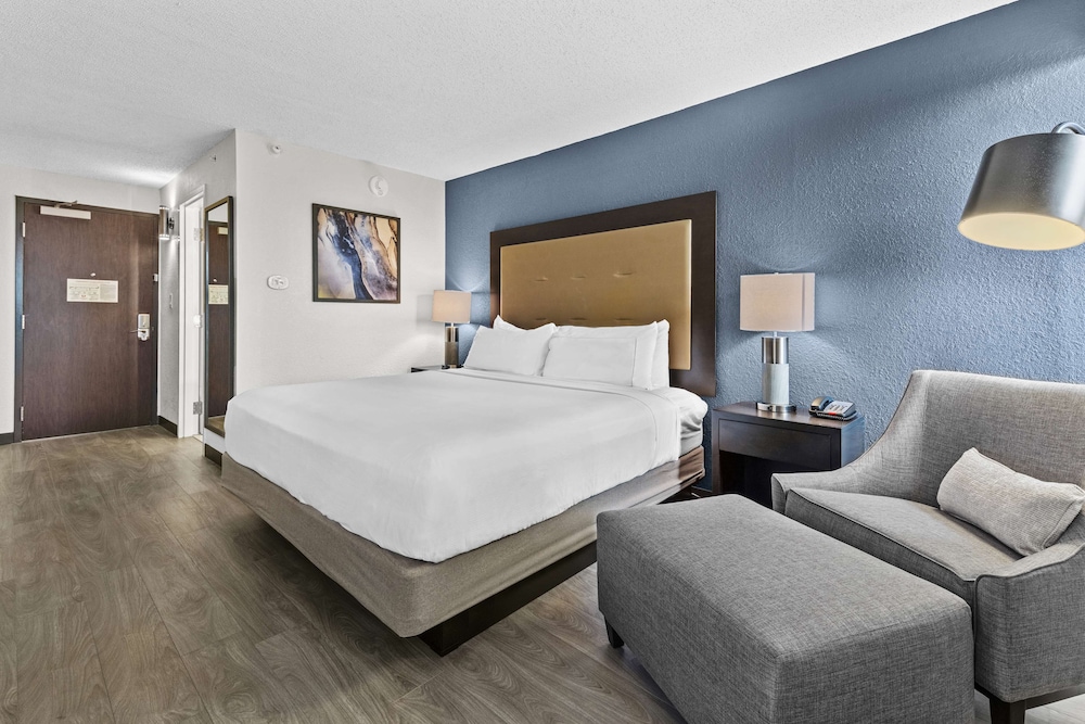 Room, 1 King Bed, Accessible (Roll-In Shower) photo 2