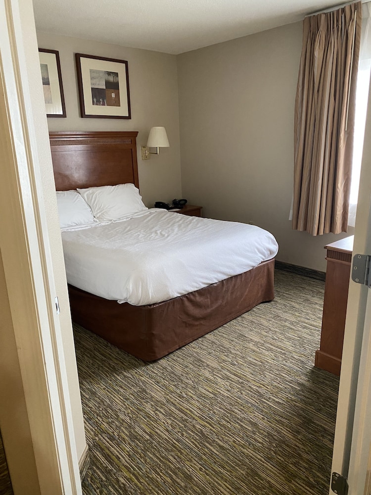 Suite, 1 Bedroom - Photo 5