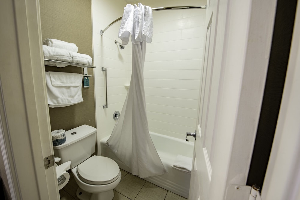 Suite, 1 King Bed, Accessible, Non Smoking (Roll-in shower) - Photo 16