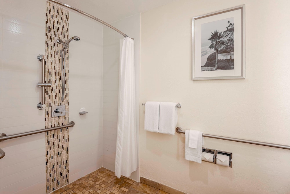 Room, Multiple Beds (Mobility/Hearing Access, Roll-In Shwr)