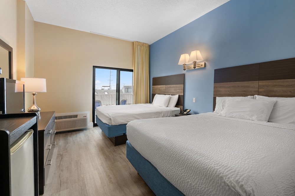 Pet Friendly Suite photo 1