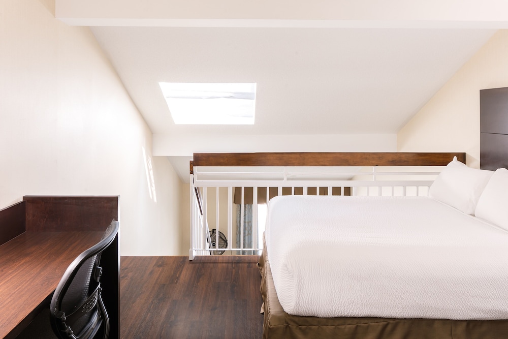 Suite - Photo 3