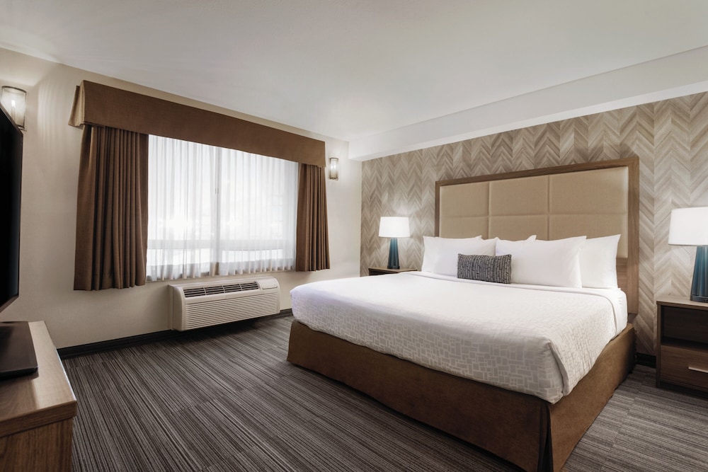 Superior Suite, 1 King Bed with Sofa bed, Kitchen photo 1
