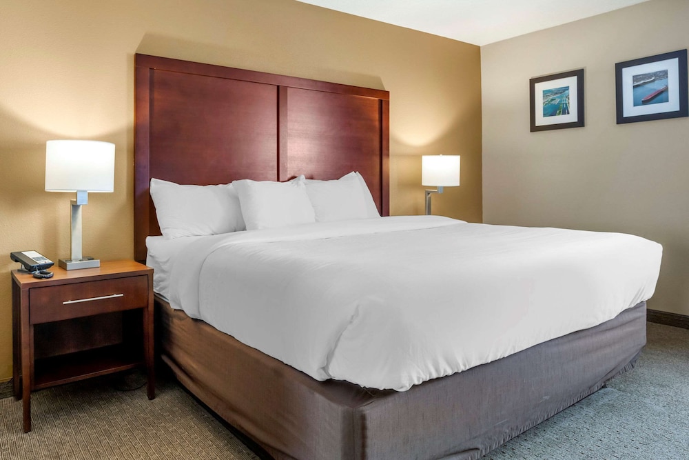 Suite, 1 King Bed, Non Smoking - Photo 1
