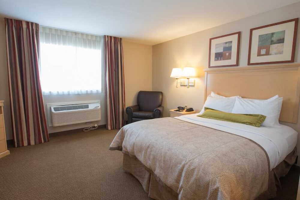 Suite, 1 King Bed - Photo 6