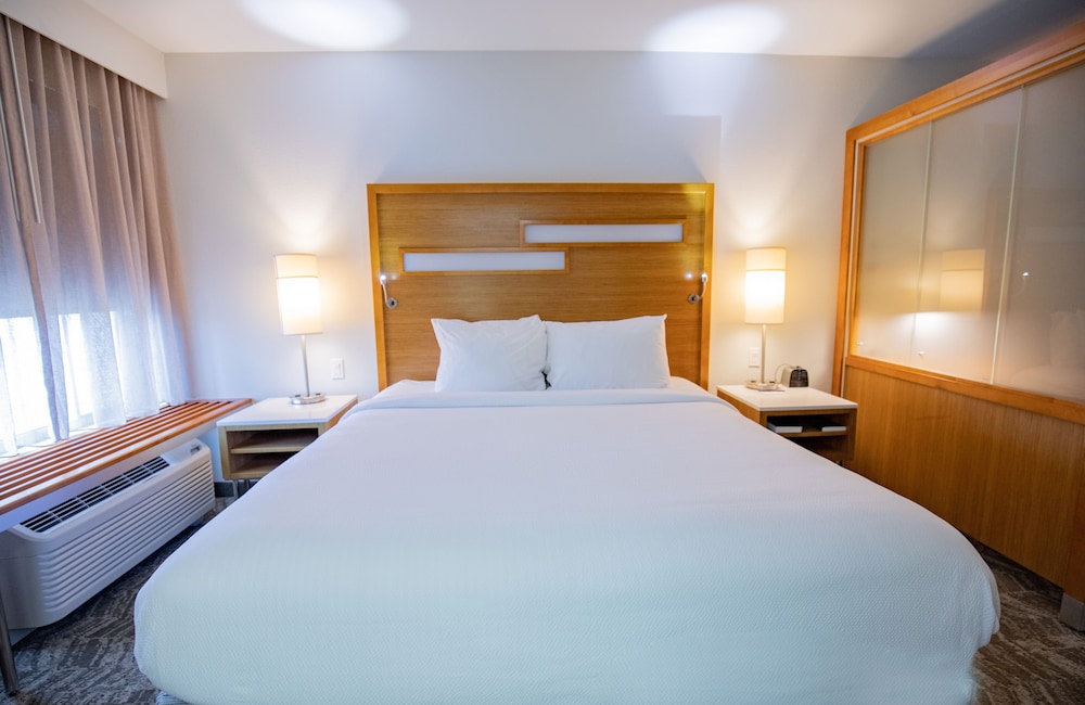 Studio, 1 King Bed with Sofa bed (Mobility Accessible, Tub) photo 3