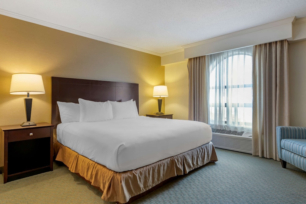 Suite, 1 King Bed, Non Smoking, Refrigerator & Microwave (with Sofabed) photo 1