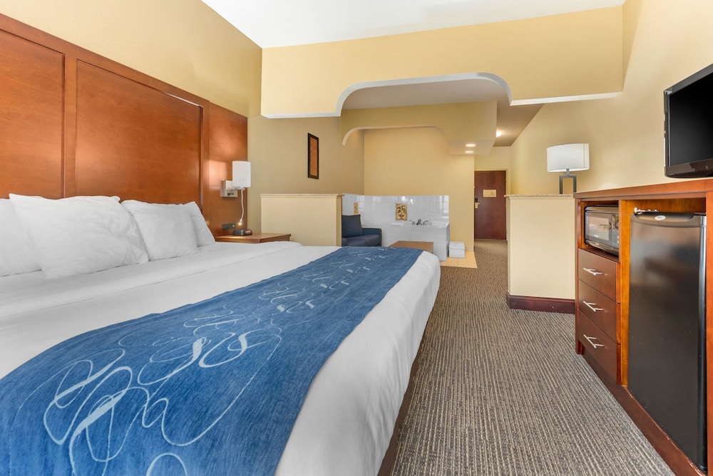 Deluxe Suite, 1 King Bed, Non Smoking photo 2