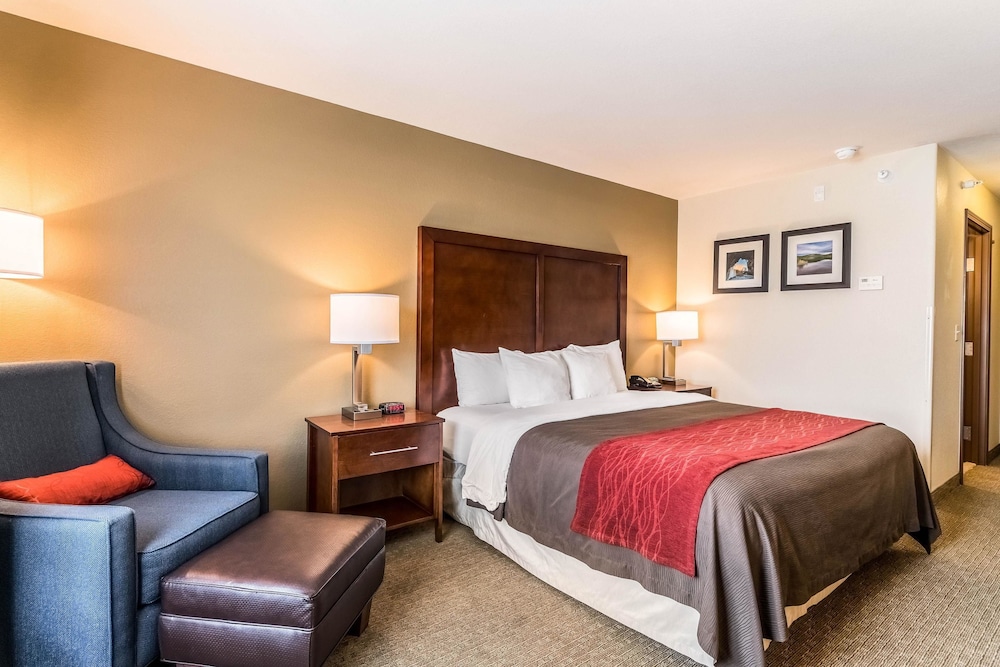Standard Room, 1 King Bed, Non Smoking - Photo 3