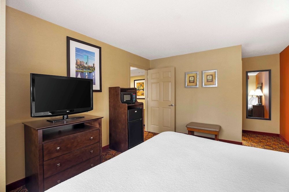 Suite, 1 King Bed, Non Smoking, Refrigerator & Microwave (with Sofabed) photo 3