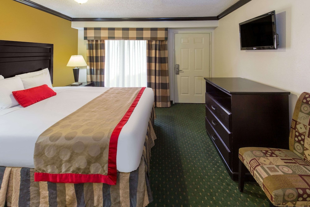 Studio Suite, Multiple Beds, Non Smoking - Photo 4