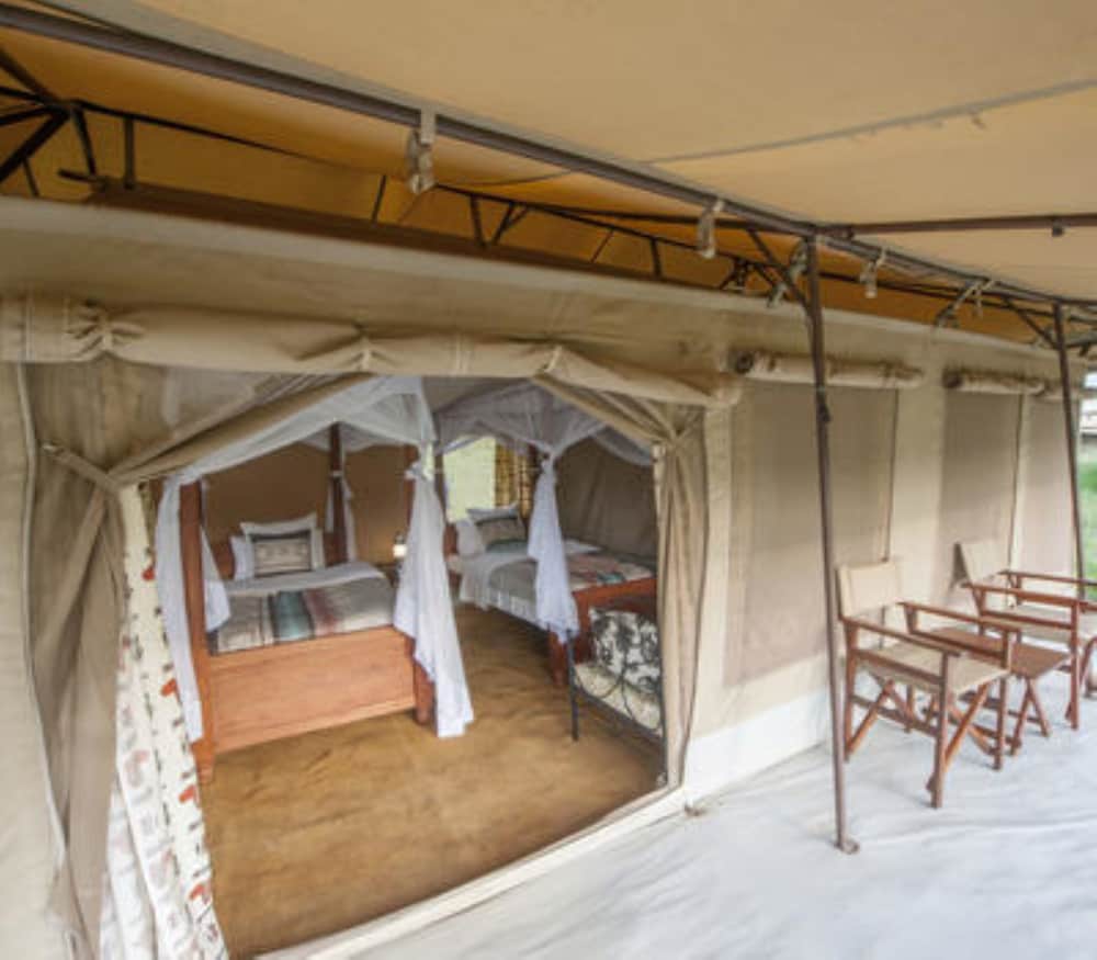 Luxury Tent, 1 Twin Bed photo 1