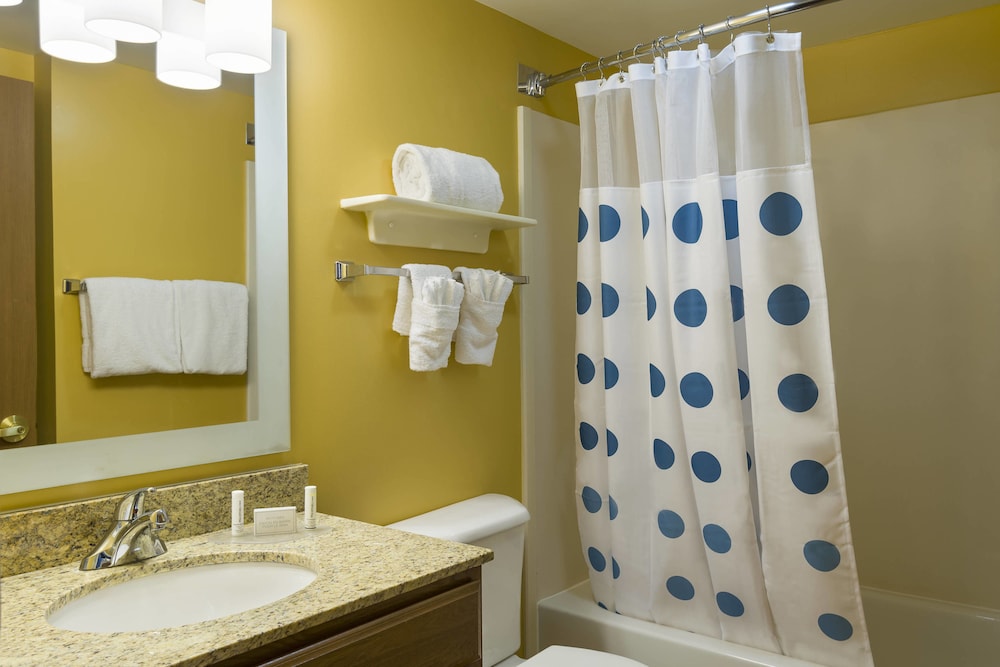 Suite, 1 Bedroom - Photo 4