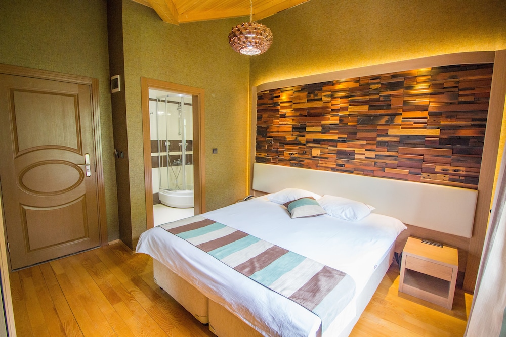 Deluxe Double or Twin Room, Mountain View photo 3