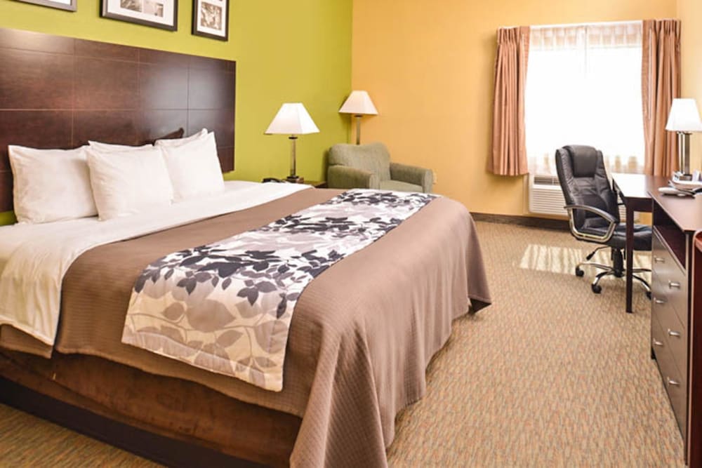 Room, 1 King Bed, Accessible, Non Smoking - Photo 1