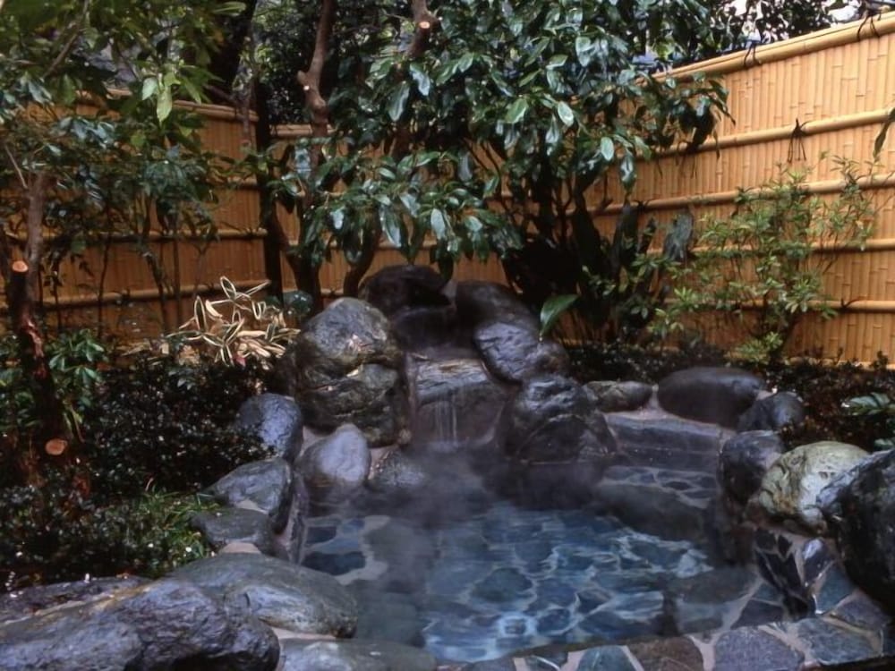 Class 3,Annex Building, Outdoor Bath, Deluxe (Run of the house/pictures are example) photo 2