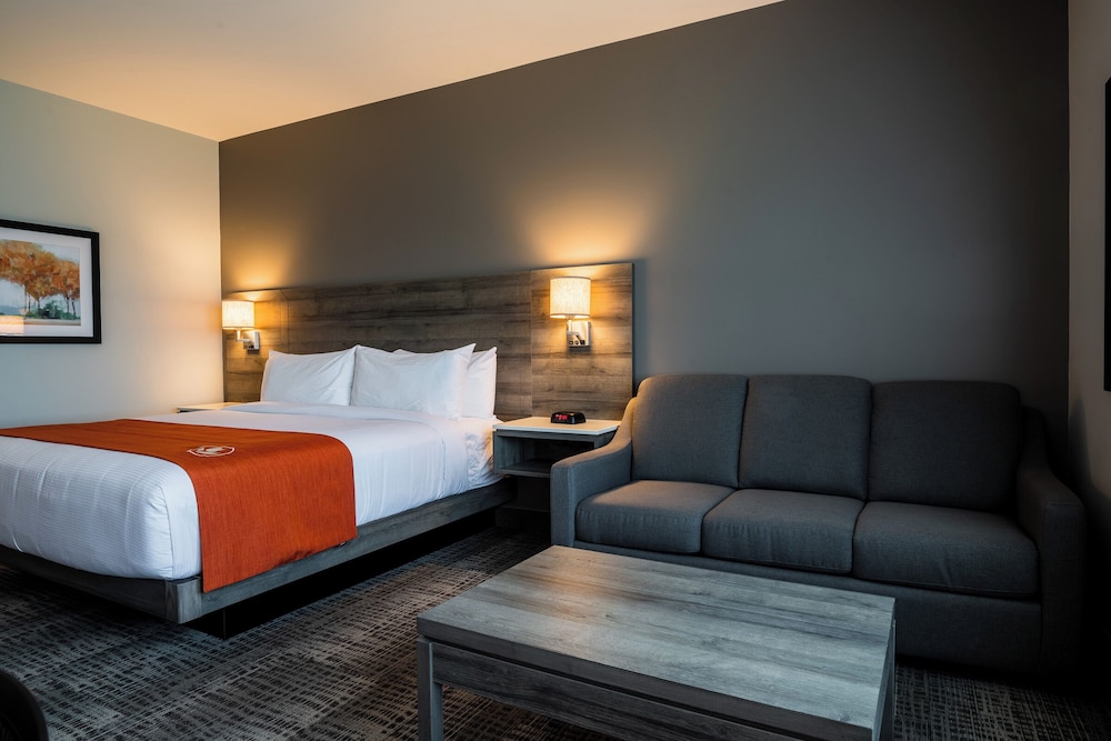 Standard Room, 1 King Bed with Sofa bed, Non Smoking