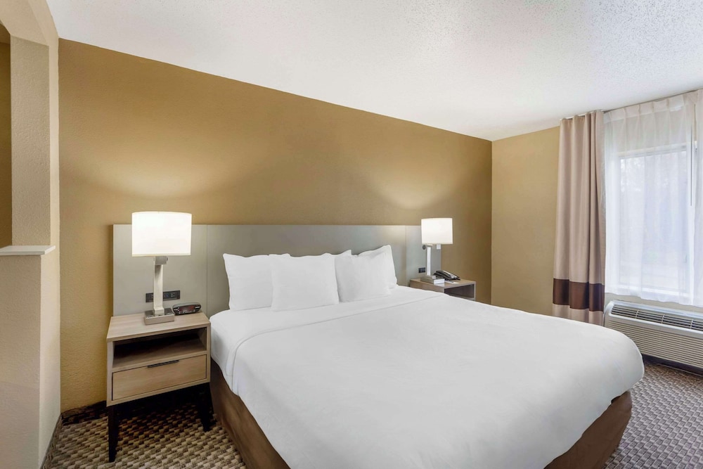 Suite, 1 King Bed with Sofa bed, Accessible, Non Smoking (Efficiency) - Photo 1