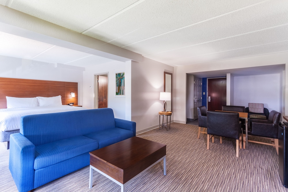 Suite, 1 King Bed with Sofa bed photo 2