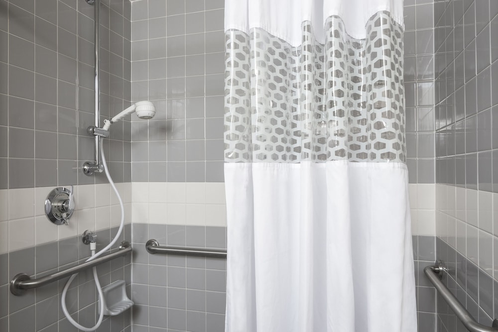 Room, 1 King Bed, Accessible, Non Smoking (Roll-In Shower) photo 3