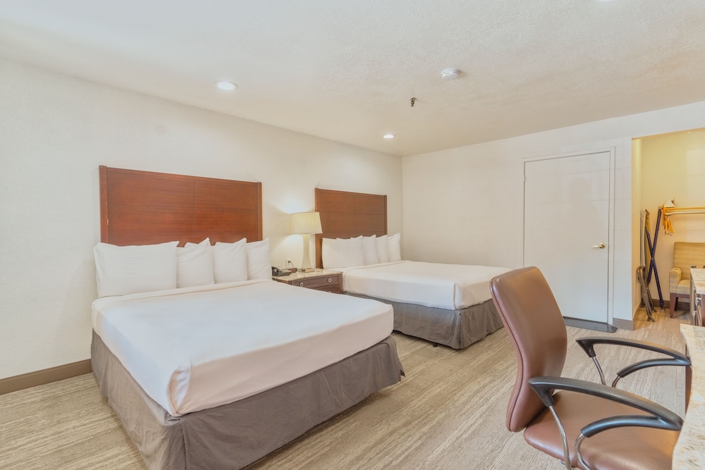 The Yosemite Inn, 사진 7