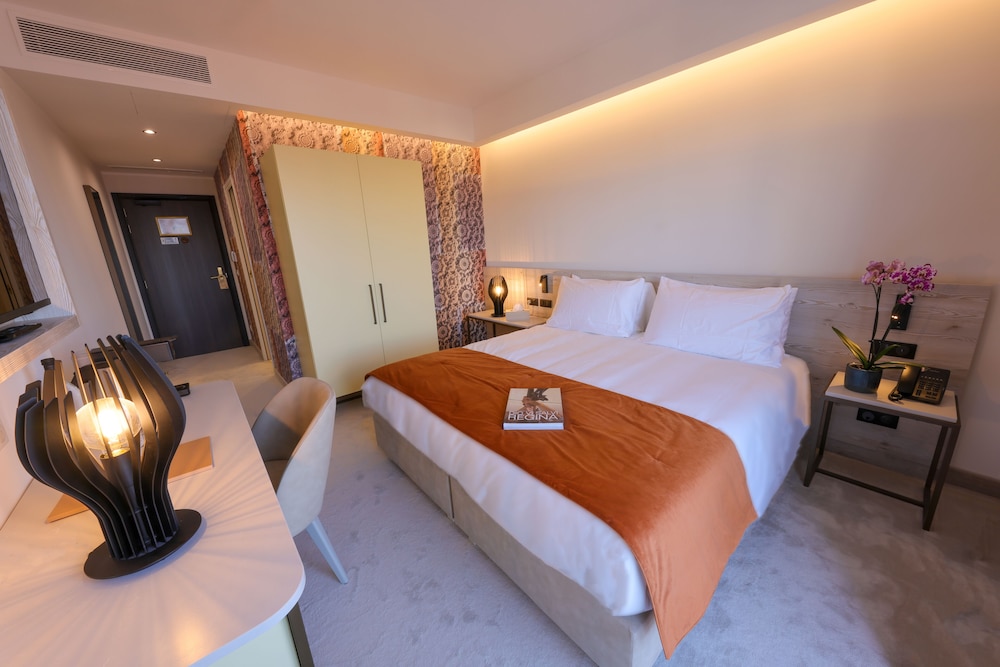 Deluxe Room - Photo 5