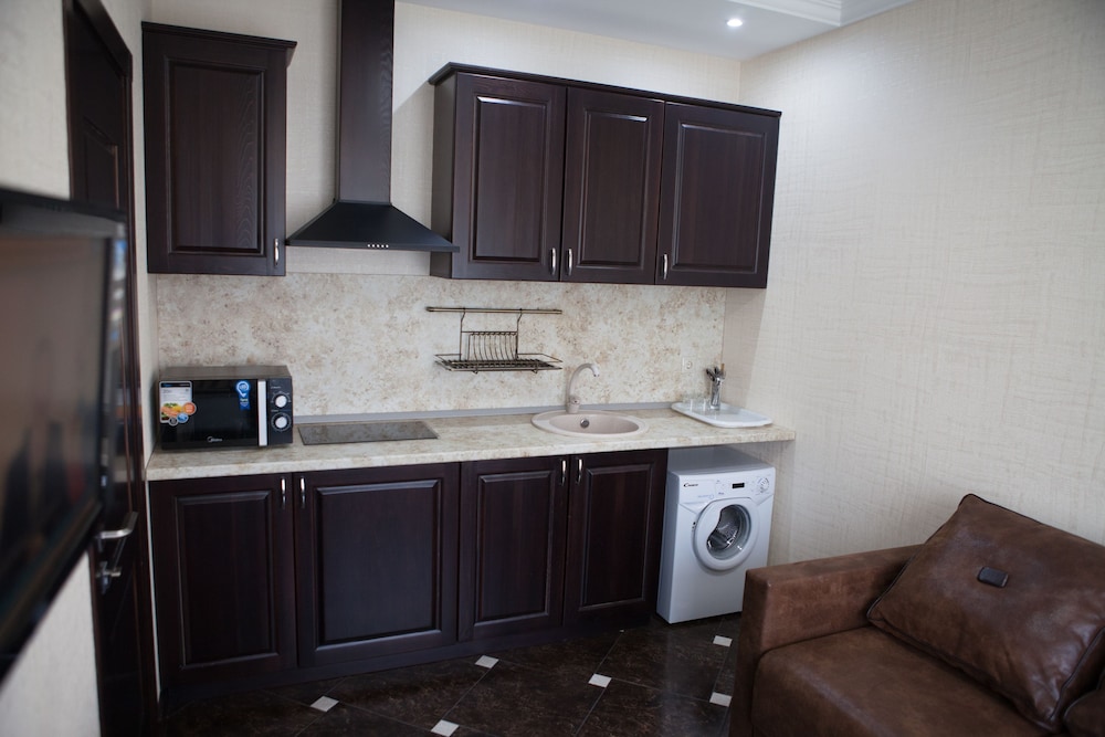 Basic Apartment, 1 Bedroom, Kitchen photo 2