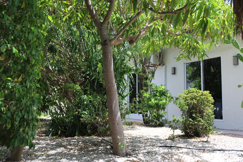 Deluxe Quadruple Room, Garden View photo 3