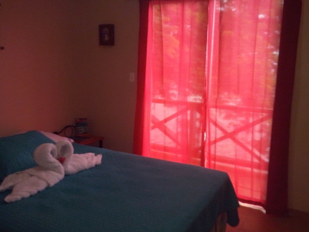 Basic Room, Ocean View photo 1