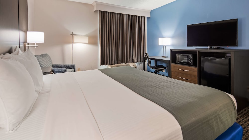 Standard Room, 1 King Bed, Non Smoking, Refrigerator & Microwave (Larger Room;with Sofabed) - Photo 1