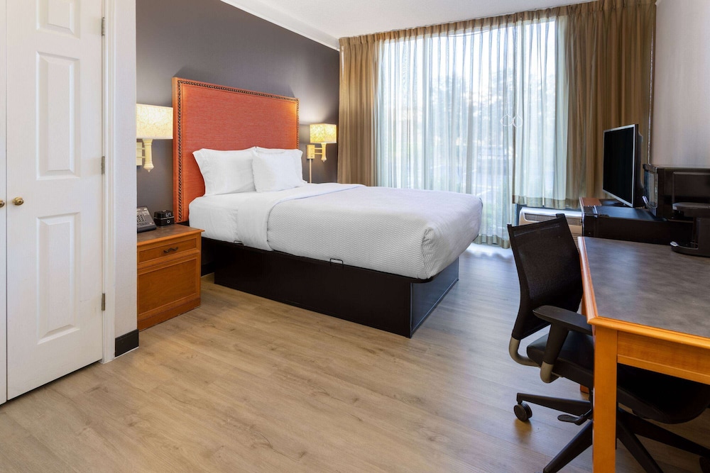 Deluxe Room, 1 Queen Bed, Accessible, Non Smoking (Mobility,Roll-In Shower, Pet-Friendly) - Photo 3