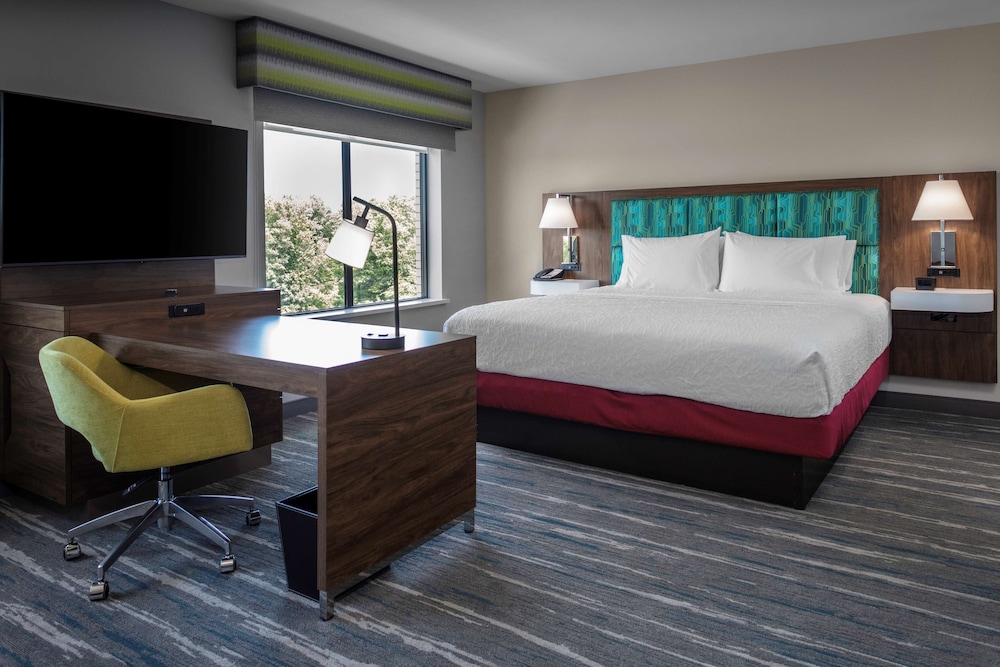 Room, 1 King Bed, Accessible (Mobility & Hearing, Roll-in Shower) - Photo 4