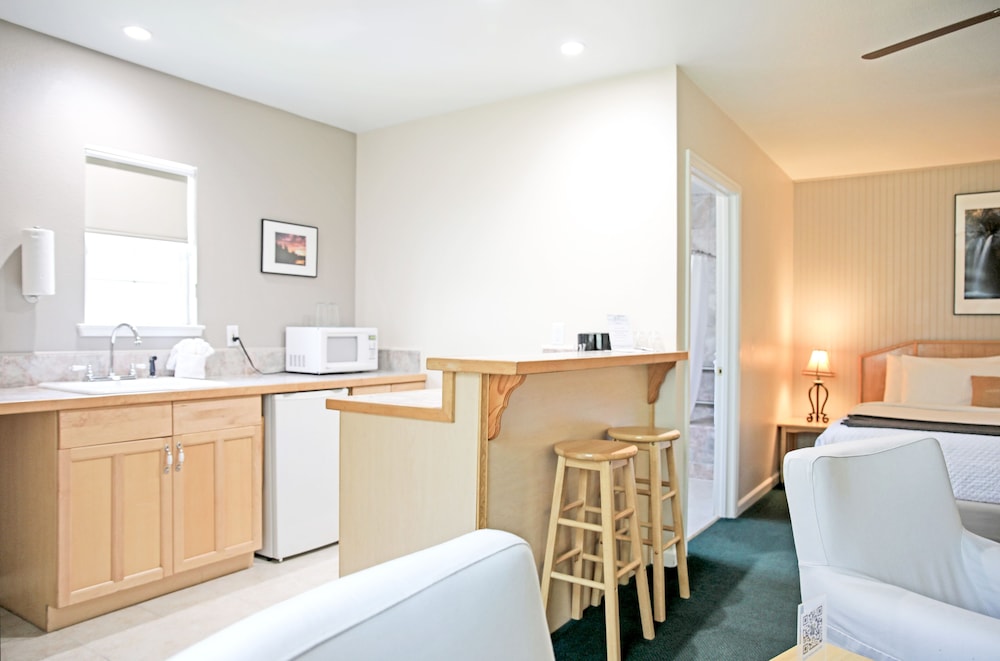 Deluxe Suite, 1 King Bed, Kitchenette photo 3