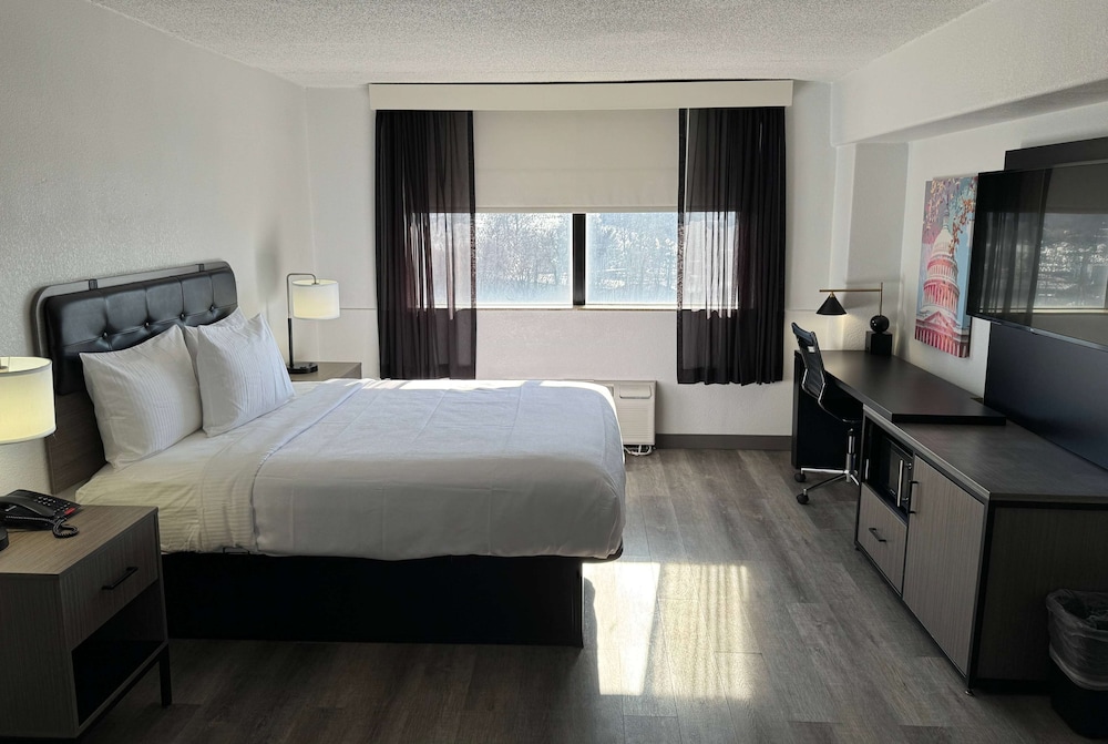 Room, 1 King Bed, Mobility Accessible, Non Smoking (Roll-In Shower) - Photo 2