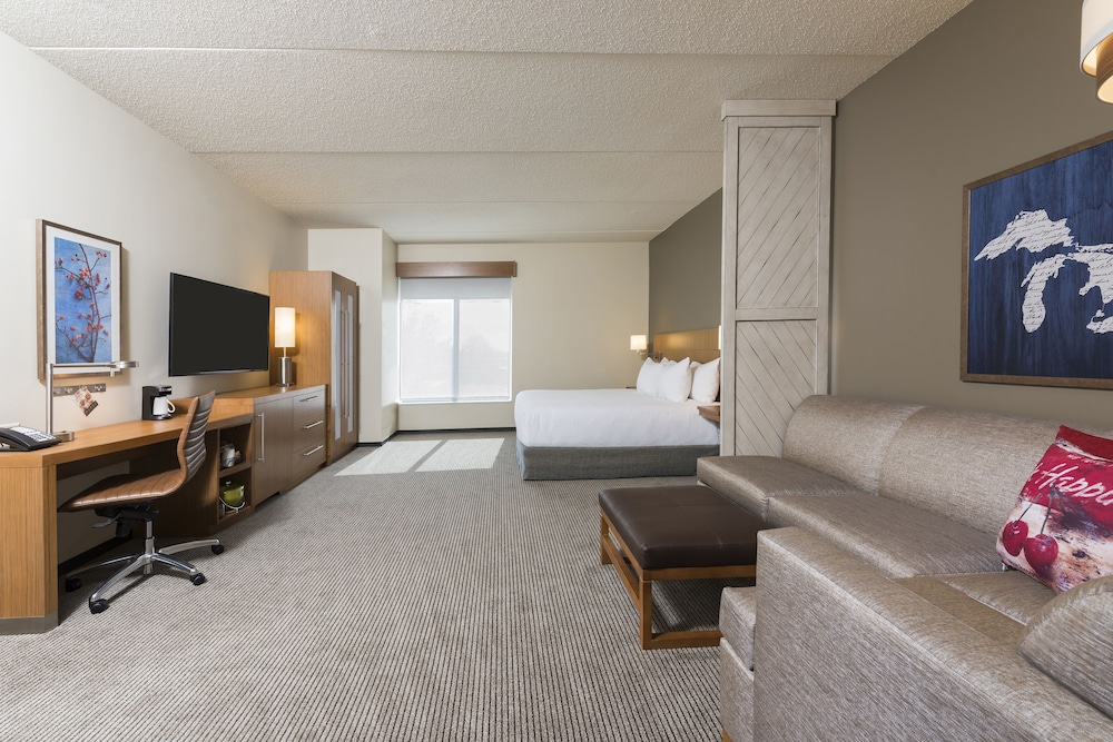 Room, 1 King Bed with Sofa bed, Accessible (With Shower) photo 2
