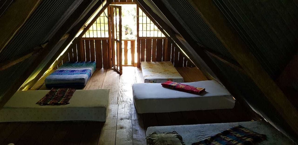 Basic Shared Dormitory, Mixed Dorm photo 3